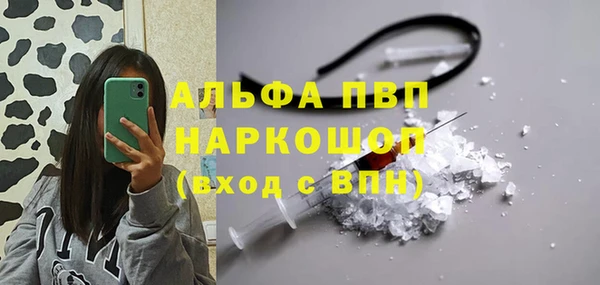 гидра Киренск