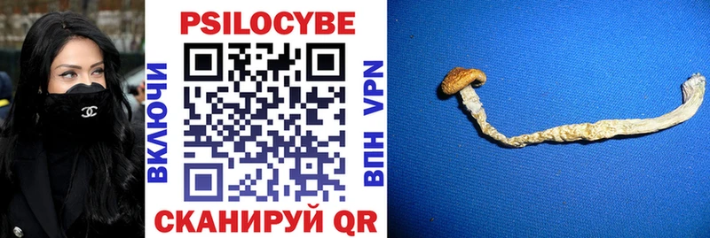 Купить закладки Владимир Галлюциногенные грибы Cubensis