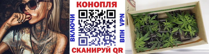 МАРИХУАНА Bruce Banner  Купить закладки  Владимир 